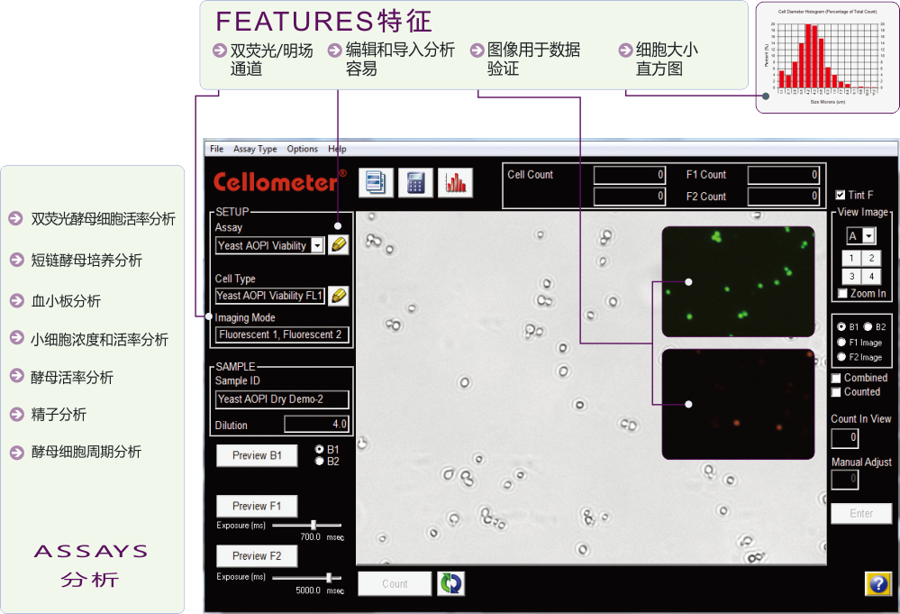 software surface.png software surface.png